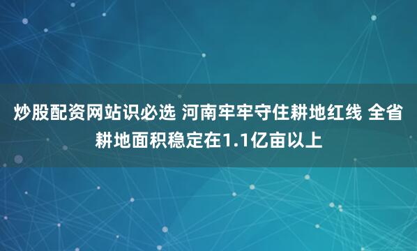 炒股配资网站识必选 河南牢牢守住耕地红线 全省耕地面积稳定在1.1亿亩以上