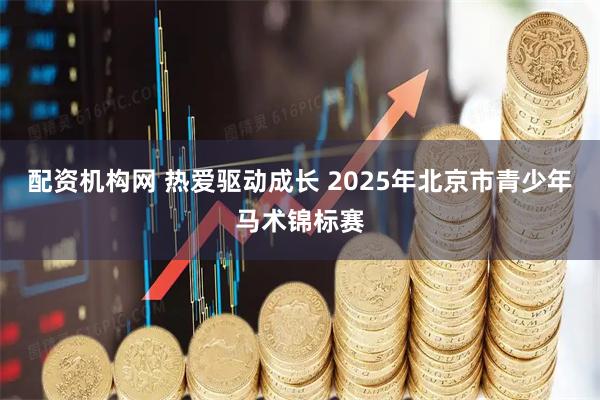 配资机构网 热爱驱动成长 2025年北京市青少年马术锦标赛
